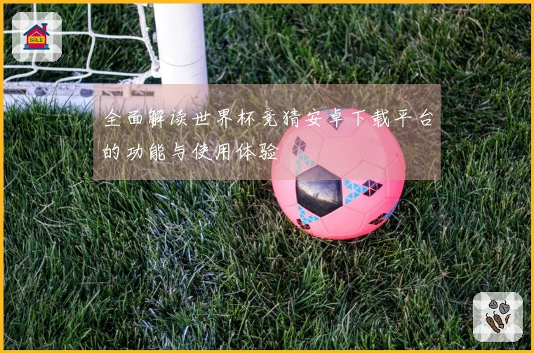 全面解读世界杯竞猜安卓下载平台的功能与使用体验