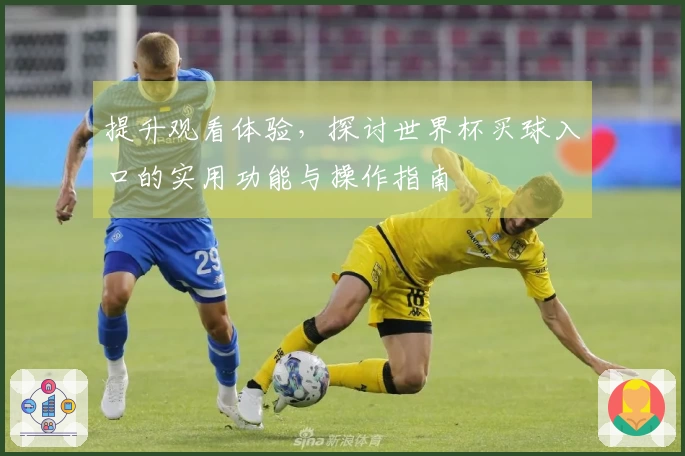 提升观看体验，探讨世界杯买球入口的实用功能与操作指南