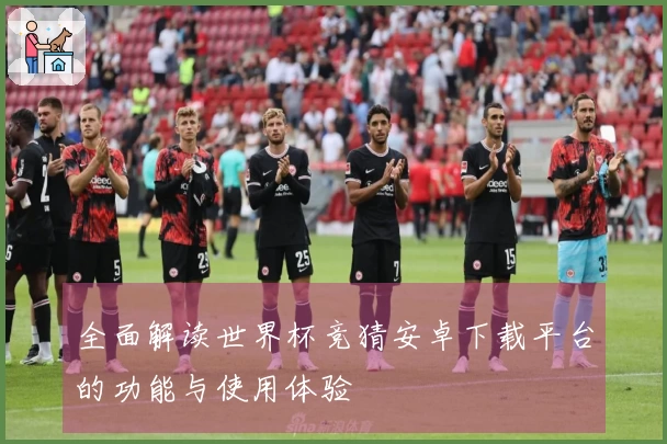 全面解读世界杯竞猜安卓下载平台的功能与使用体验