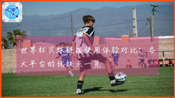 世界杯买球链接使用体验对比：各大平台的优缺点一览